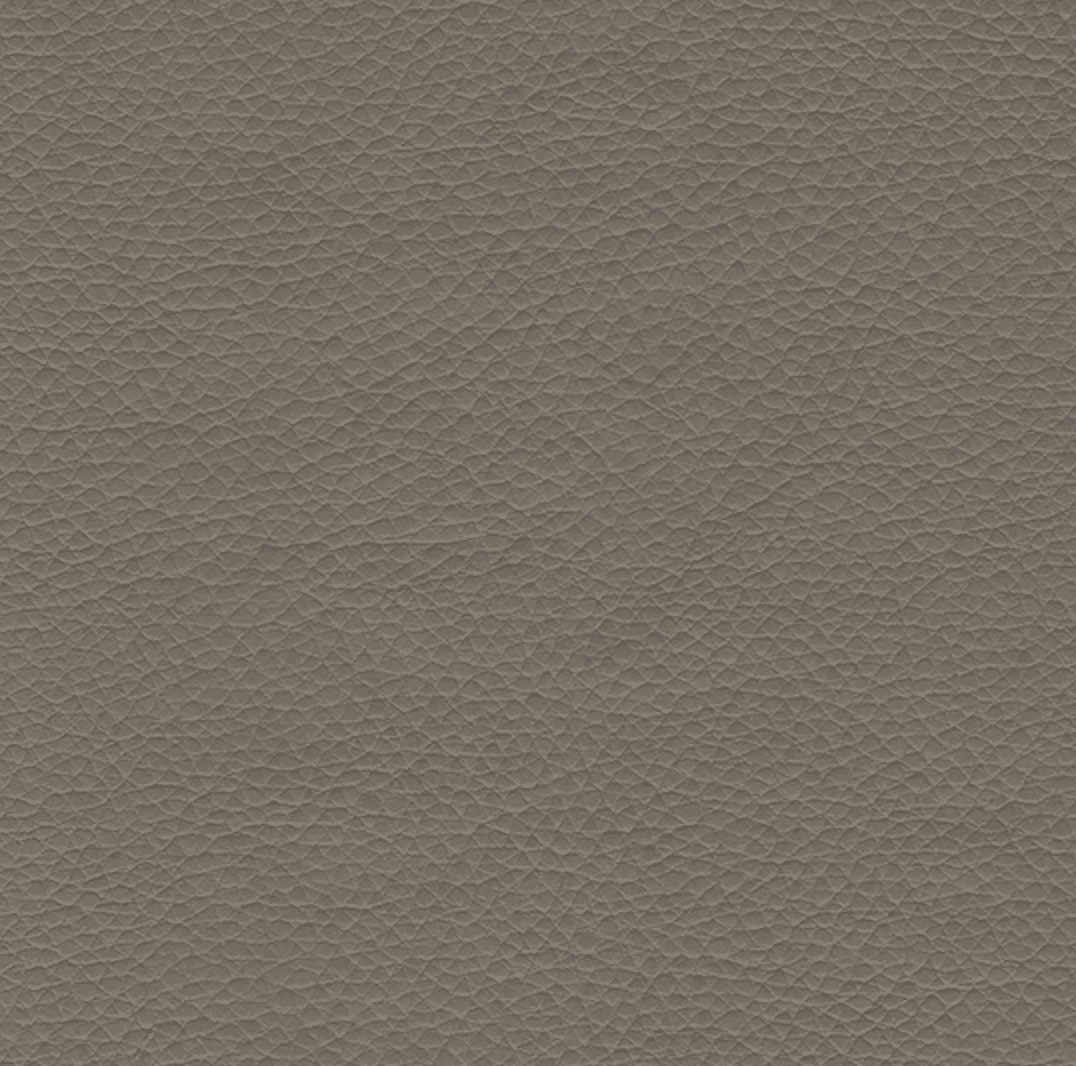 Traffic Taupe