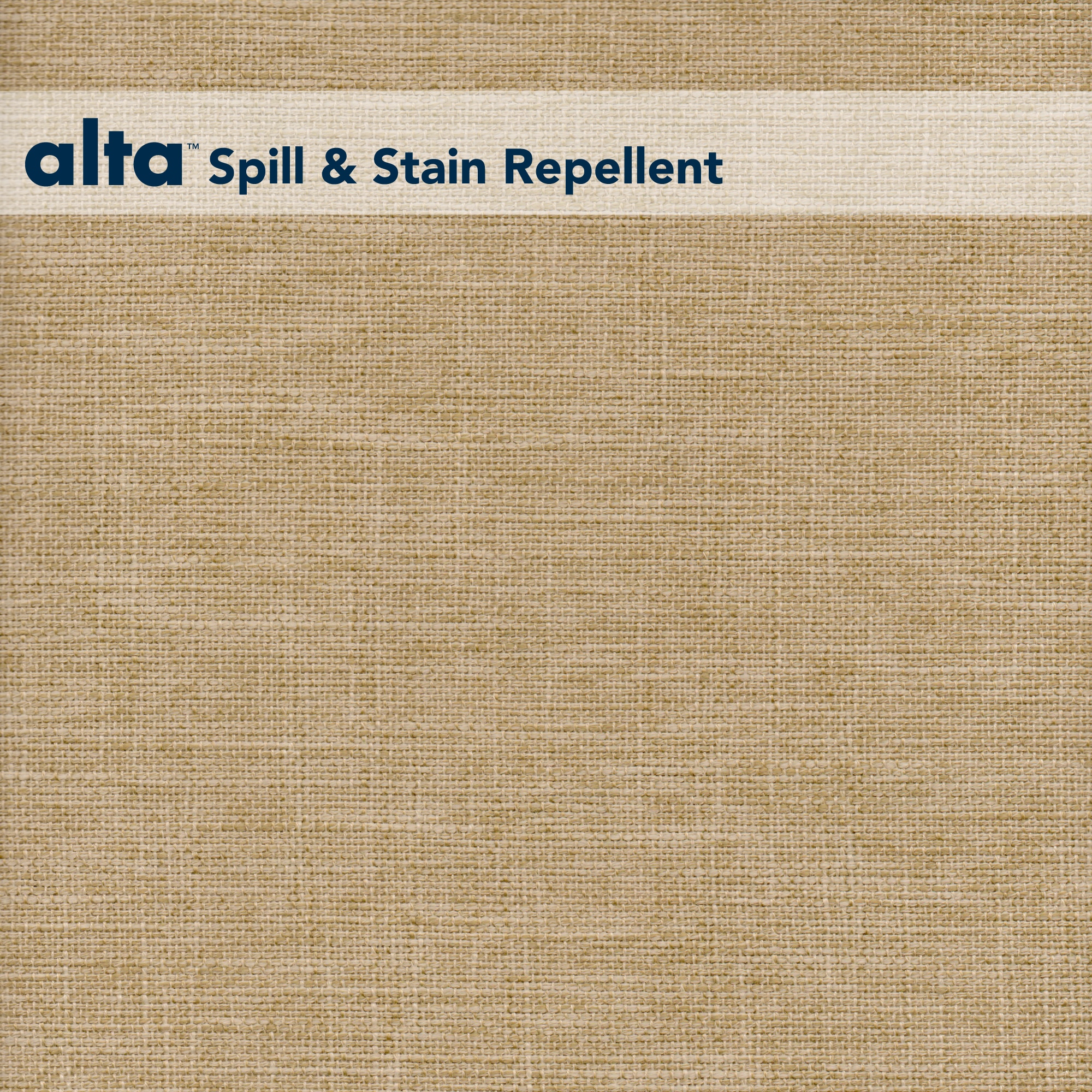 Guardian 019