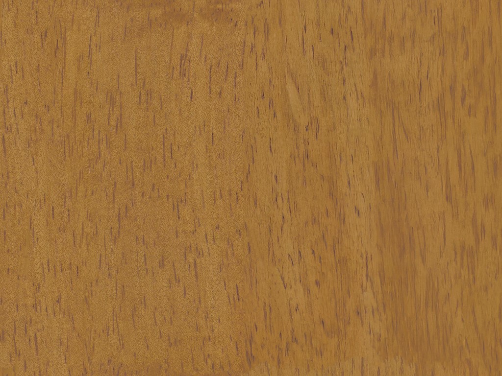 Honey Birch